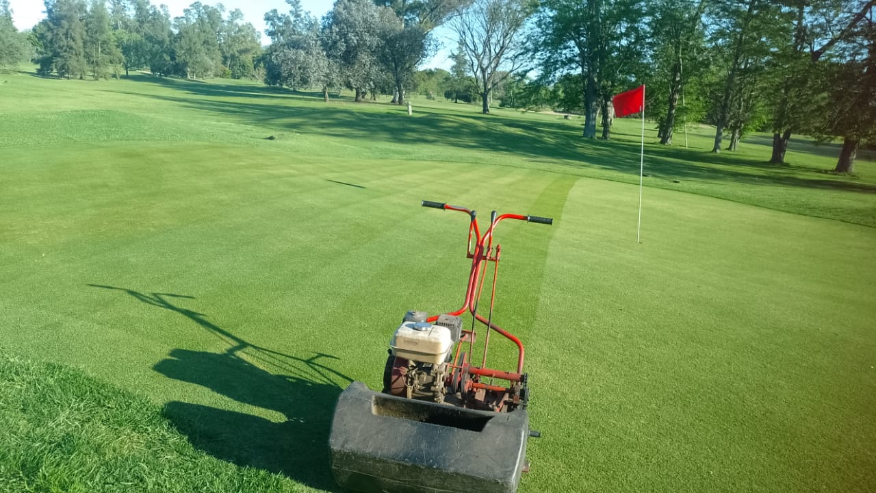 Green de golf impecable